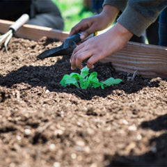 Gardening